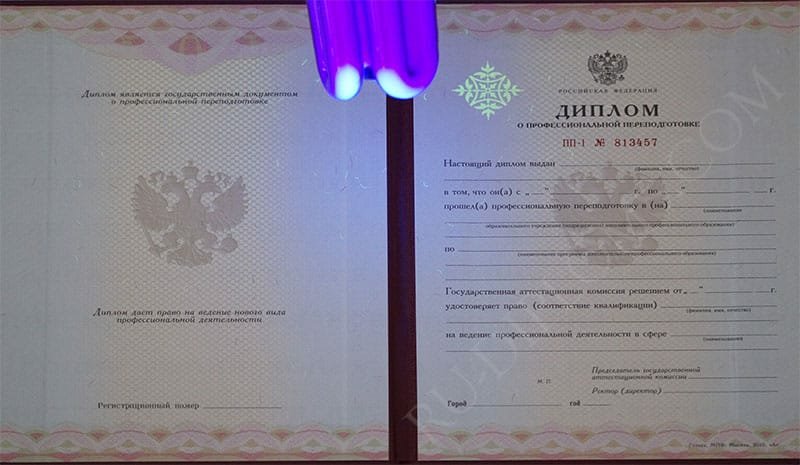 Диплом о переподготовке 2010 года  Диплом о переподготовке 2010 года