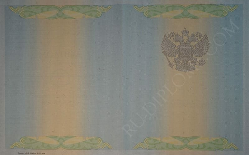 Диплом бакалавра 2004-2009 год   Диплом бакалавра 2004-2009 год