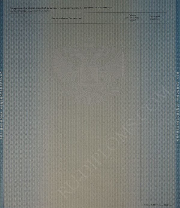 Диплом магистра 2010-2013 год  Диплом магистра 2010-2013 год