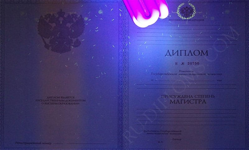 Диплом магистра 2010-2013 год  Диплом магистра 2010-2013 год